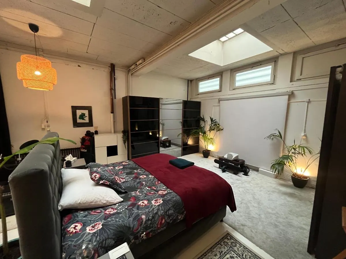 Loft 220M2 Διαμέρισμα Γενεύη 0*,  Ελβετία